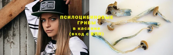 мдпв Пересвет