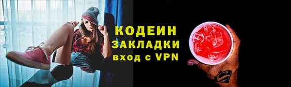 мдпв Пересвет