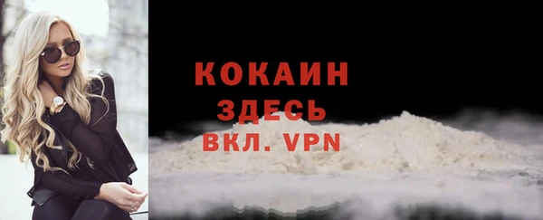 прущий лед Жердевка