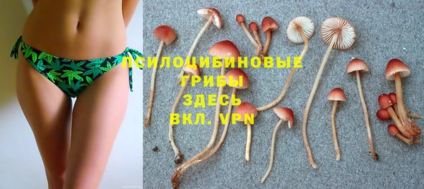 мдпв Пересвет