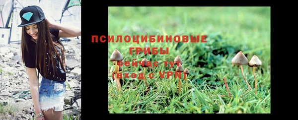 соль ск Покачи
