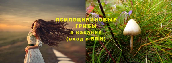 прущая мука Пестово