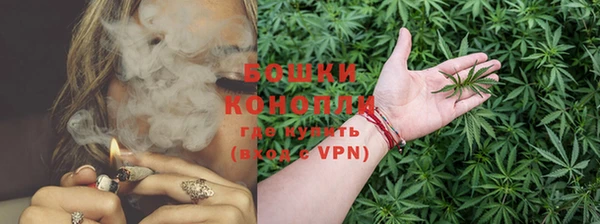 мдпв Пересвет