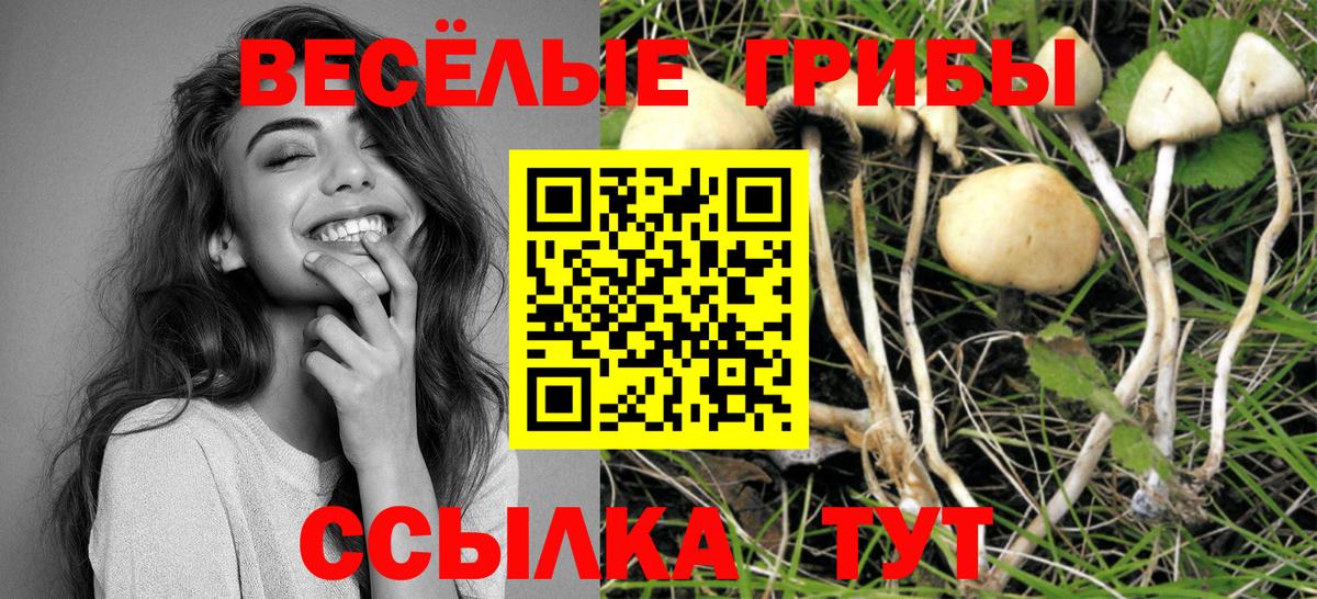 Галлюциногенные грибы прущие грибы Нягань