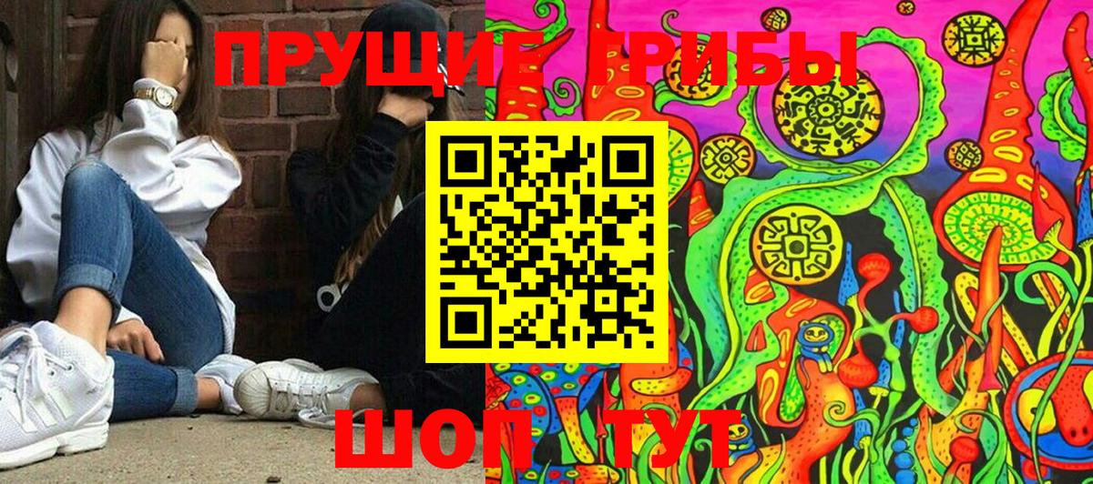 Нягань  Псилоцибиновые грибы Psilocybine cubensis  Вход с VPN 